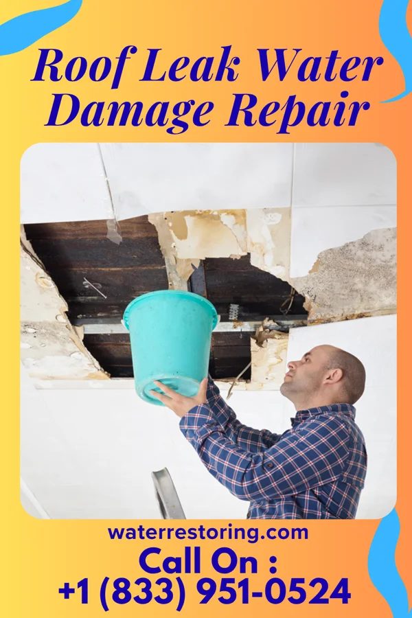 Roof Leak Water Damage Repair in Glendale Colony, SD