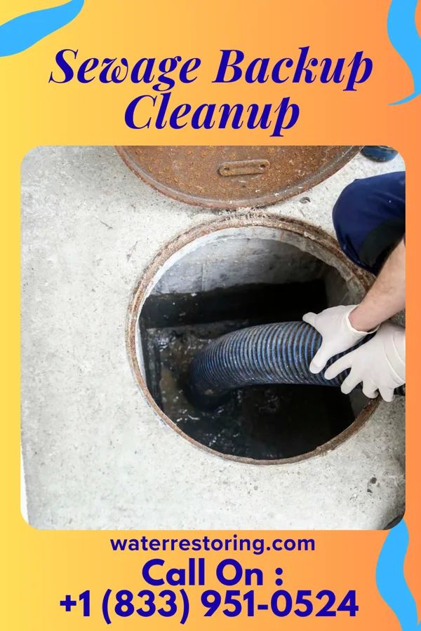 Sewage Backup Cleanup in Glendale Colony, SD